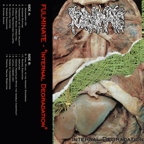 Fulminate : Internal Degradation Fulminate : Internal Degradation